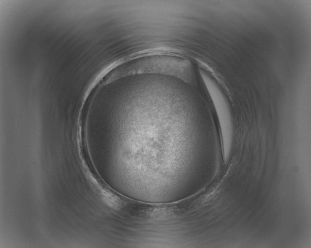 X0000062611418200601040927