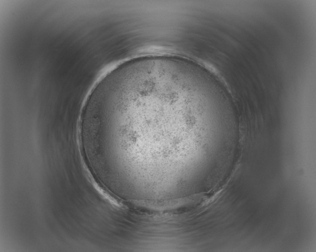 X0000062611421200601040927