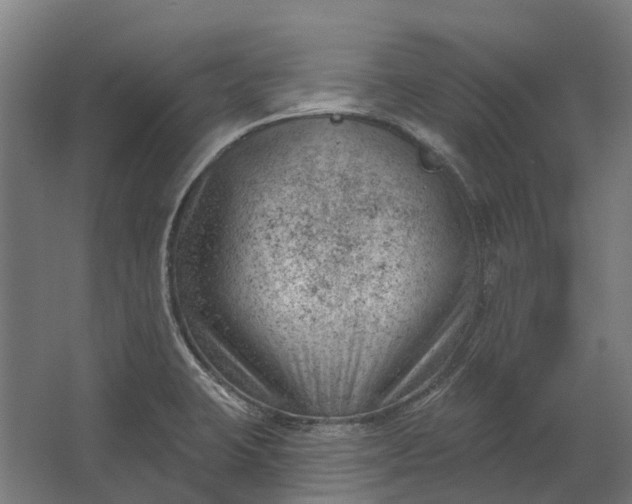 X0000062611423200601040927