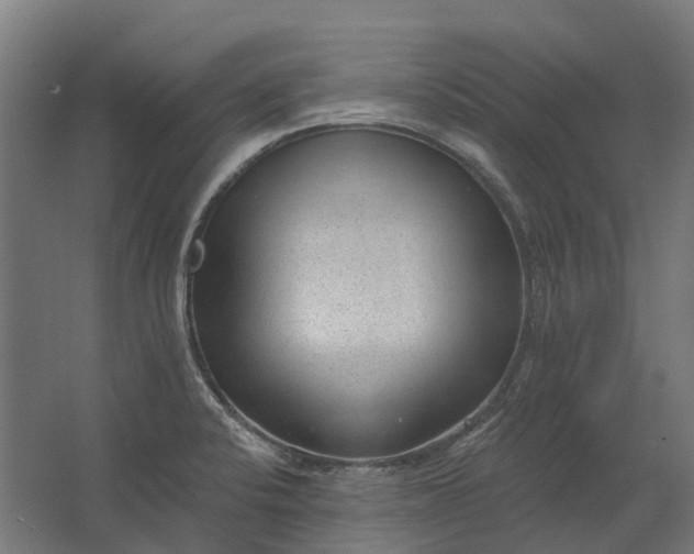 X0000062611424200601040927