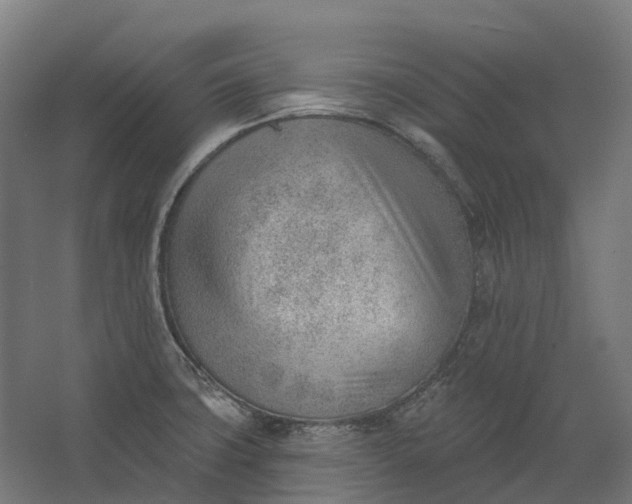 X0000062611427200601040928