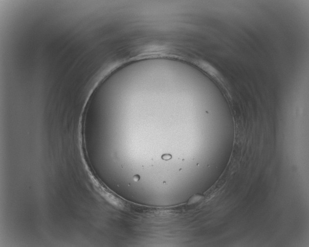 X0000062611431200601040928