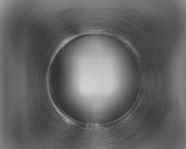 X0000062611432200601040928