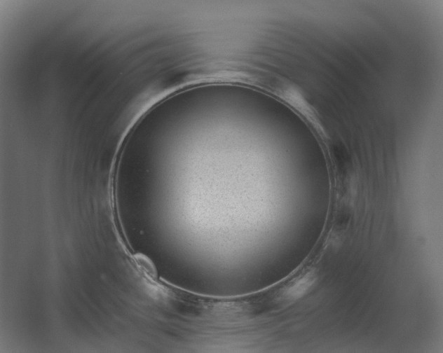 X0000062611436200601040928