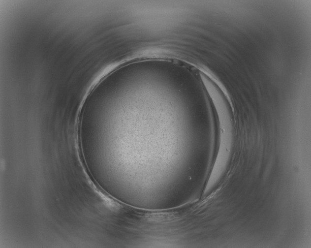 X0000062611437200601040928