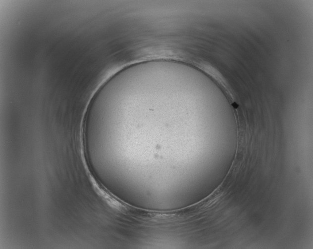 X0000062611439200601040928