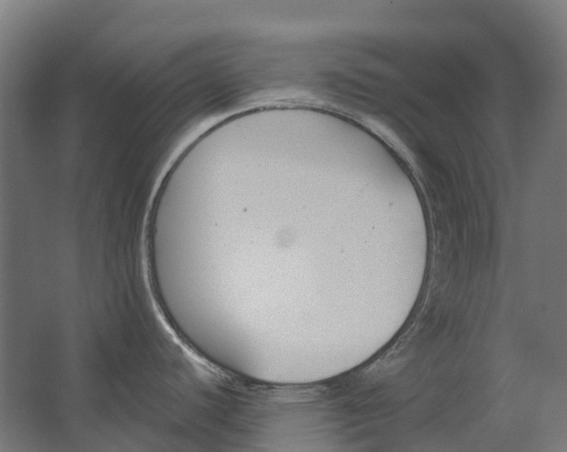 X0000062611440200601040928