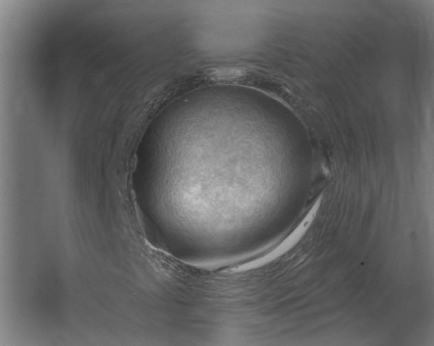 X0000062611441200601040927