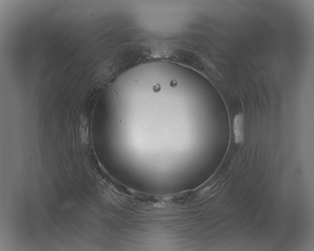 X0000062611443200601040927