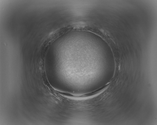 X0000062611445200601040927