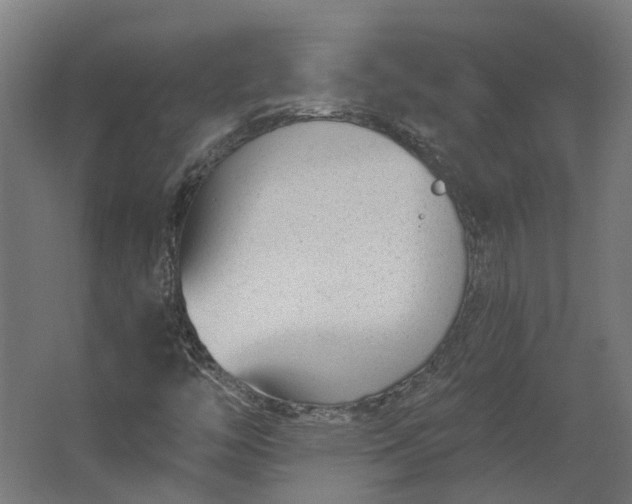 X0000062611446200601040927