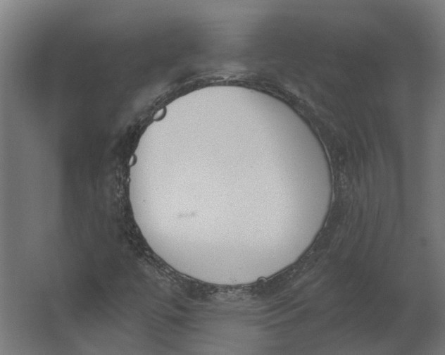 X0000062611447200601040927