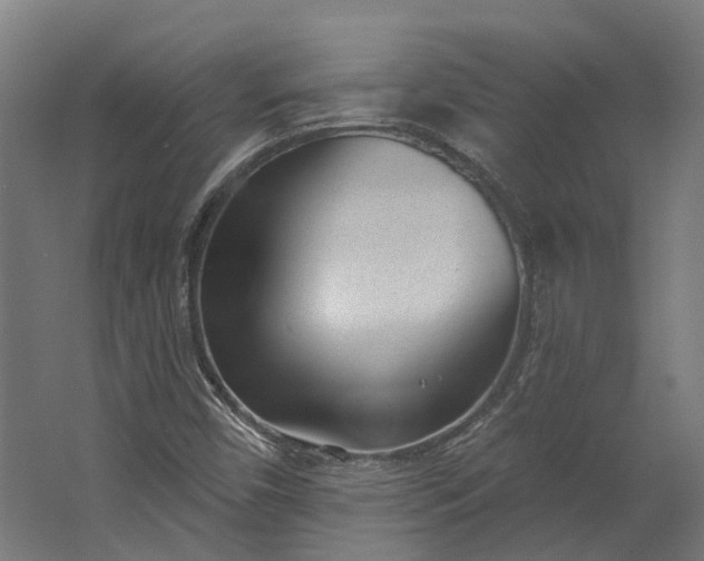 X0000062611450200601040927