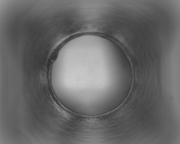 X0000062611452200601040927