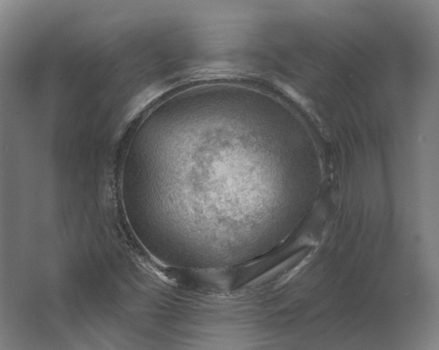 X0000062611453200601040927