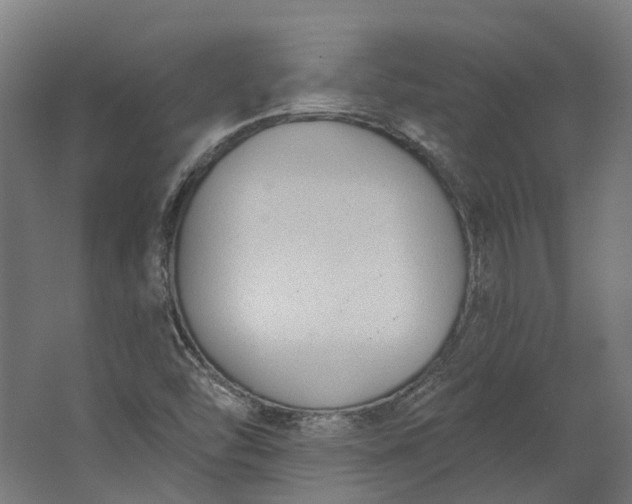 X0000062611454200601040927