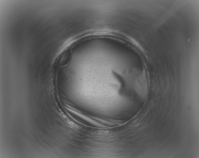 X0000062611456200601040927