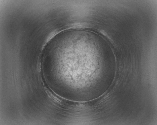 X0000062611459200601040927