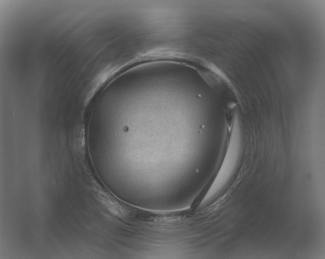 X0000062611461200601040927