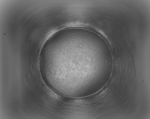 X0000062611463200601040927