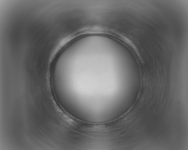 X0000062611464200601040927