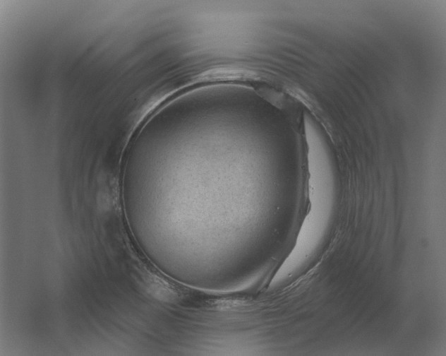 X0000062611465200601040927