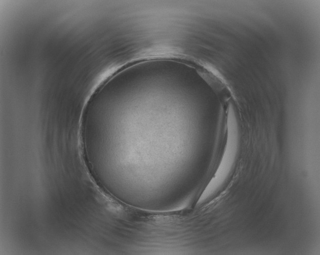 X0000062611469200601040926