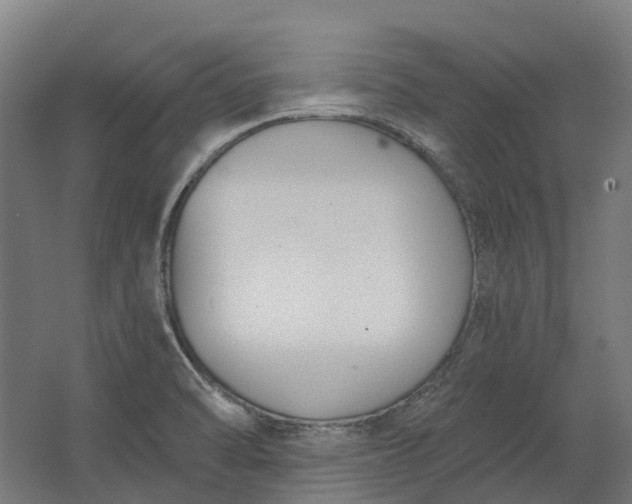 X0000062611470200601040926