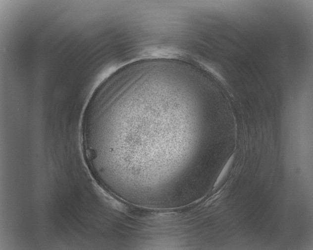 X0000062611471200601040926