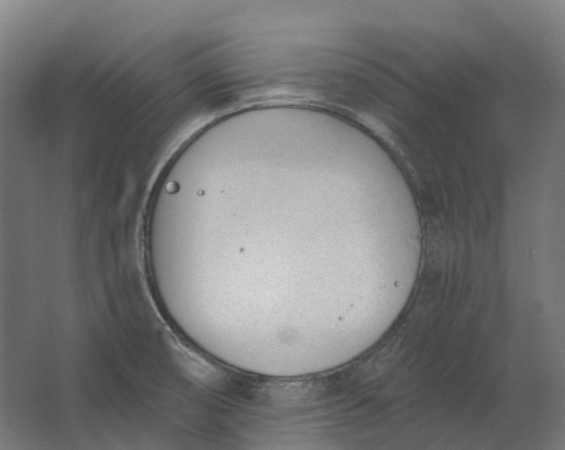 X0000062611474200601040926