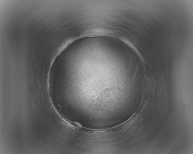 X0000062611477200601040926