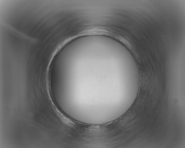 X0000062611478200601040926