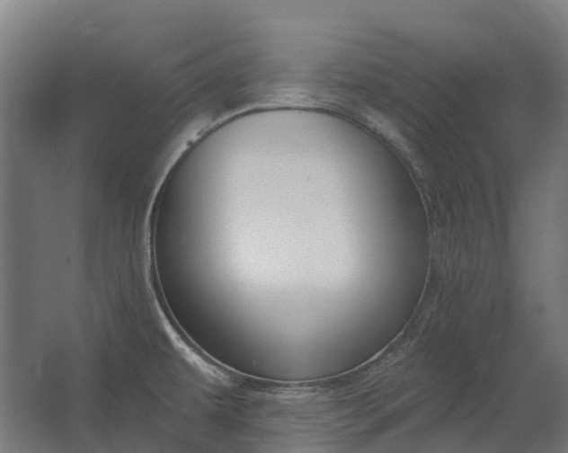 X0000062611479200601040926