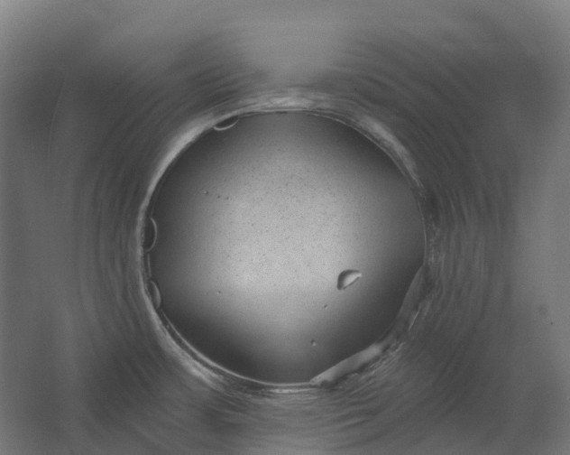 X0000062611483200601040926