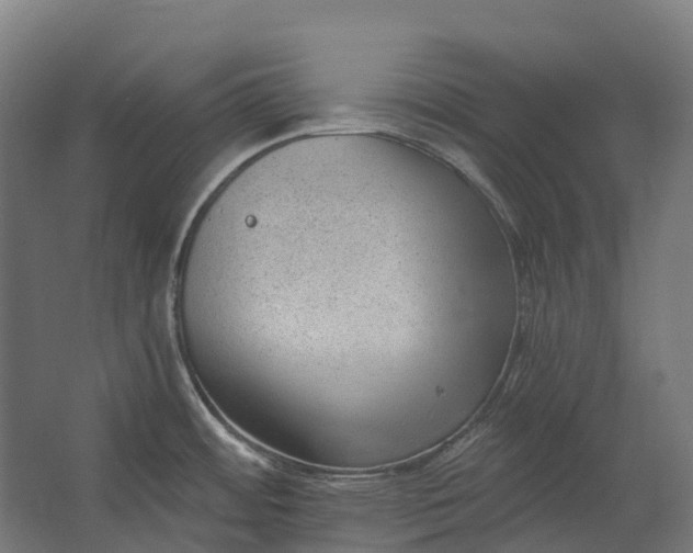 X0000062611484200601040926