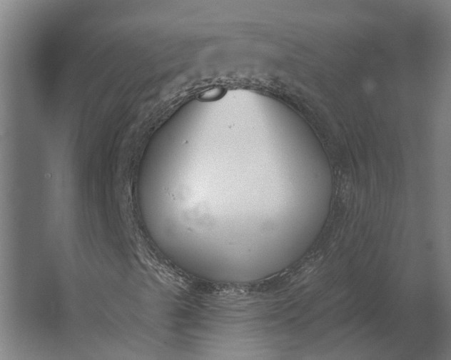 X0000062611489200601040925