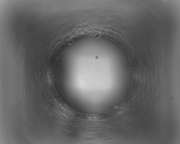 X0000062611490200601040925