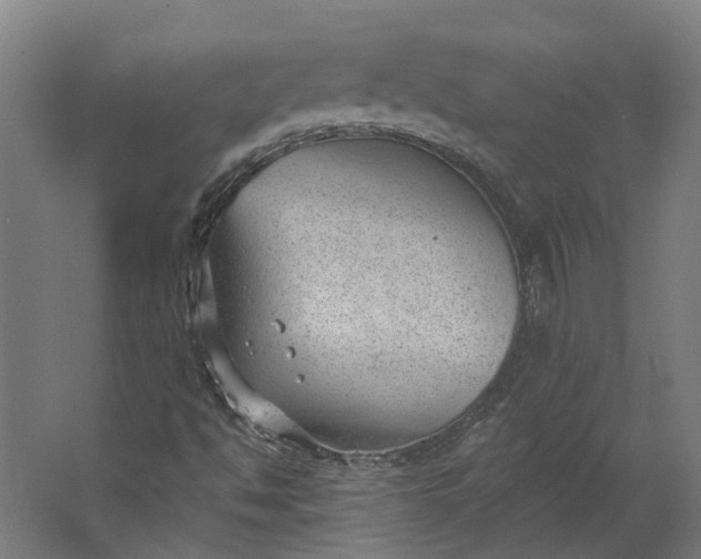 X0000062611494200601040925