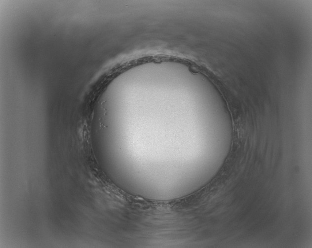 X0000062611495200601040925