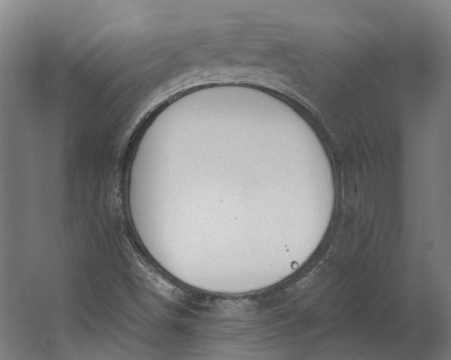 X0000062611498200601040925