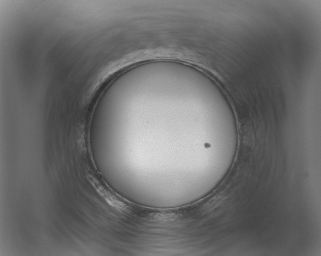 X0000062611499200601040925