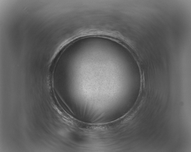 X0000062611501200601040926