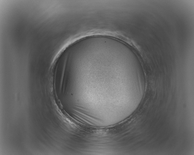 X0000062611504200601040926