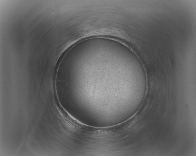 X0000062611505200601040926