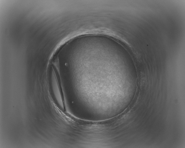 X0000062611506200601040926