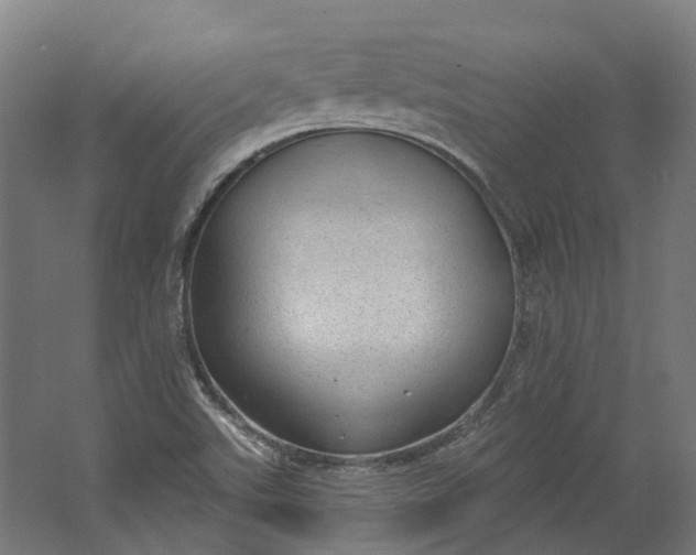 X0000062611507200601040926