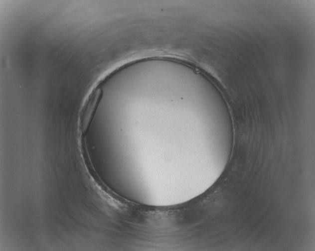 X0000062611508200601040926