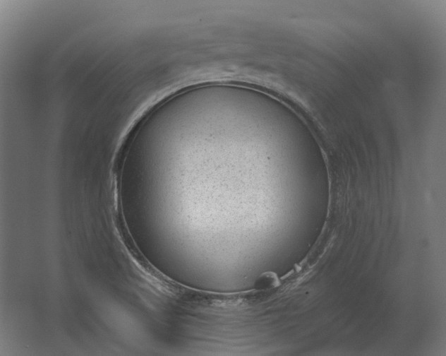 X0000062611509200601040926