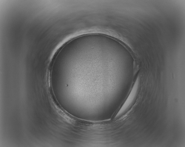 X0000062611510200601040926