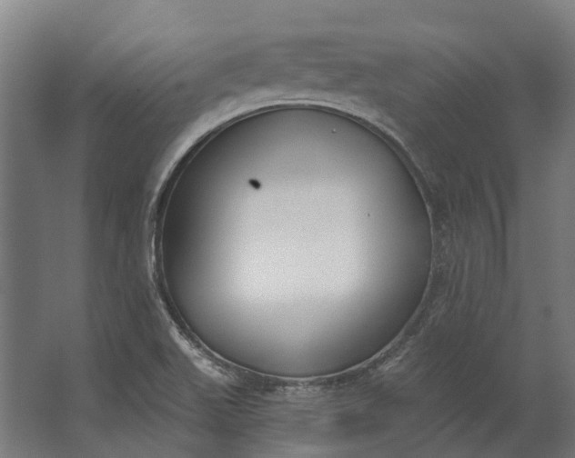 X0000062611511200601040926